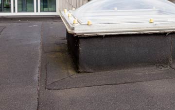 disadvantages of Braemore flat roofs