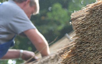 professional Braemore thatchers